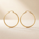Arracadas Zara Oro 10K