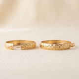 Arracadas Aurelia Oro 10K
