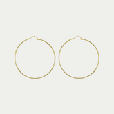 Arracada Rosana Oro 10K