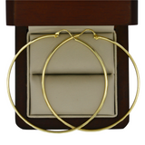 Arracada Rosana Oro 10K