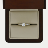 Anillo Ainara Oro 10K