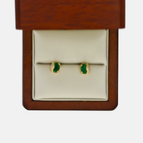 Aretes Darcy Oro 10K