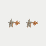 Aretes Ebere Oro 10K