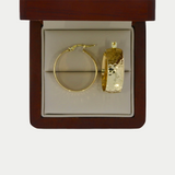 Arracadas Adhara Oro 10K