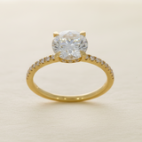 Anillo Hadi Oro 14K