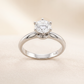Anillo Fadia Oro 14K