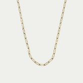 Cadena Amrane Oro 10K