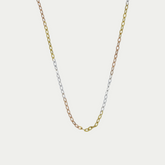 Cadena Aquiles Oro 10K