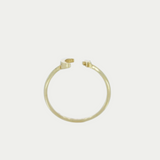 Anillo Nekane Oro 10K