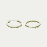 Arracadas Gaia Oro 10K