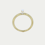 Anillo Enora Oro 14K