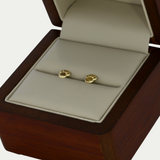 Broquel Huellita Oro 10K