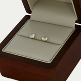 Broquel Zirconia 5mm Oro 10K
