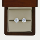 Broquel Zirconia 8mm Oro 10K