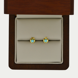 Broquel Manzanita Oro 14K