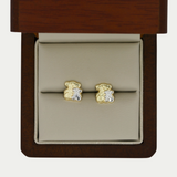 Broquel Vanessa Oro 10K
