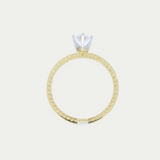 Anillo Angelica Oro 14K