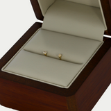 Broquel Zirconia 2mm Oro 14K
