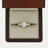 Anillo Bianca Oro 10K