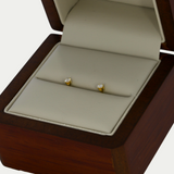 Broquel con Brillante .06 puntos Oro 14K