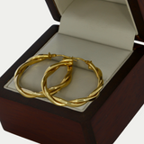Arracadas Elia Oro 10K