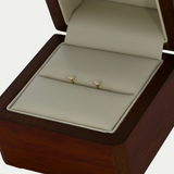 Broquel Zirconia 2mm Oro 10K