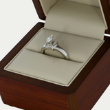 Anillo Estela Oro 14K