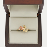 Anillo Raizel Oro 10K