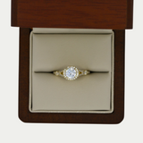 Anillo Norma Oro 10K