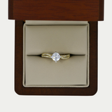 Anillo Rocio Oro 10K