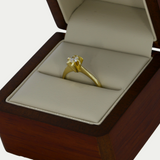 Anillo Olaya Oro 10K