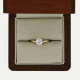 Anillo Sigrid Oro 14K