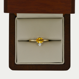 Anillo Alba Oro 14K