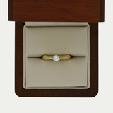 Anillo Aina Oro 14K