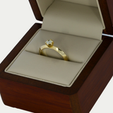 Anillo Aina Oro 14K