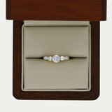 Anillo Malika Oro 10K