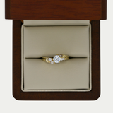 Anillo Izaro Oro 10K