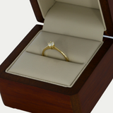 Anillo Bea Oro 14K