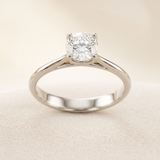 Anillo Daila Oro 14K