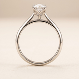 Anillo Daila Oro 14K