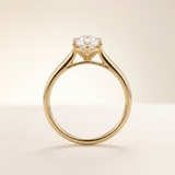 Anillo Aisha Oro 14K