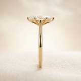 Anillo Aisha Oro 14K