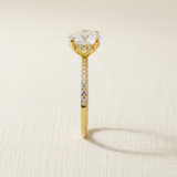 Anillo Hadi Oro 14K