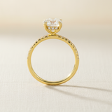 Anillo Hadi Oro 14K