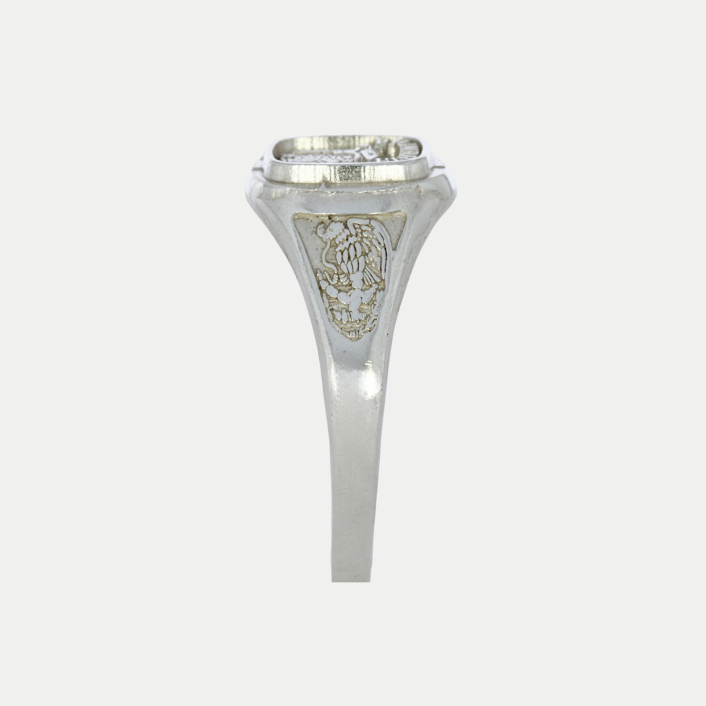 Anillo Graduación Primaria Búho Plata