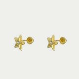 Broquel Neil Oro 10K