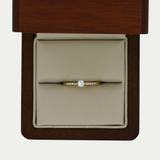 Anillo Anastasia Oro 14K