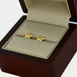 Broquel Neil Oro 10K